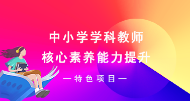 中小学学科教师核心素养能力培训